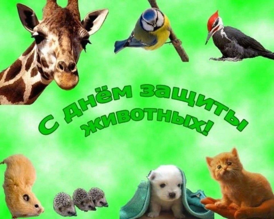 4 октября день защиты животных картинки