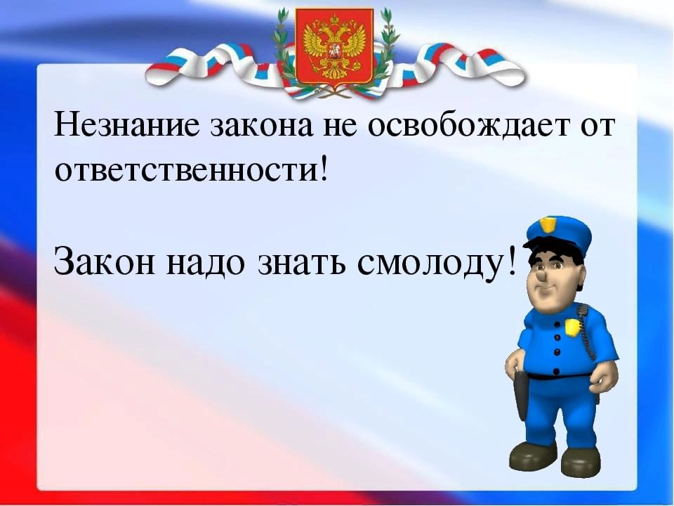 Закон ответственности. Незнание закона не освобождает от ответственности. Знай закон смолоду. Необходимо знать закон смолоду. Картинка незнание закона не освобождает от ответственности.