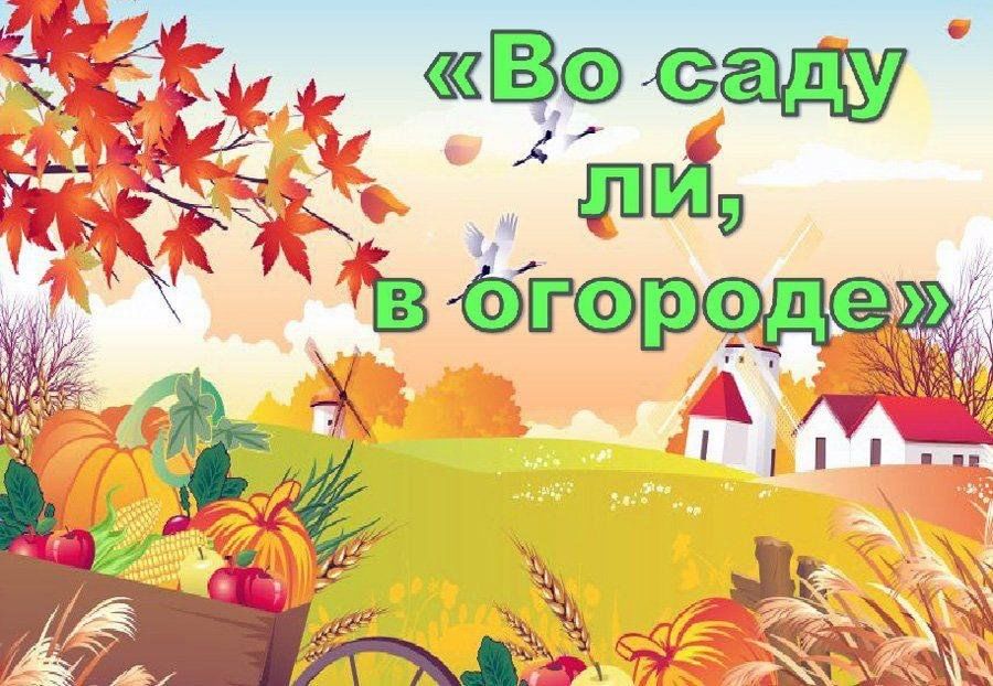 Во садули в огороде