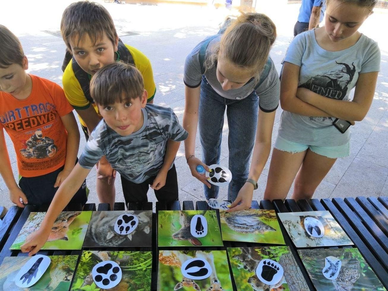 Экологическая игра в библиотеке. Игровая экология. Эко игра для школьников. Эко-квест по экологии. Экологический квест для старшеклассников.