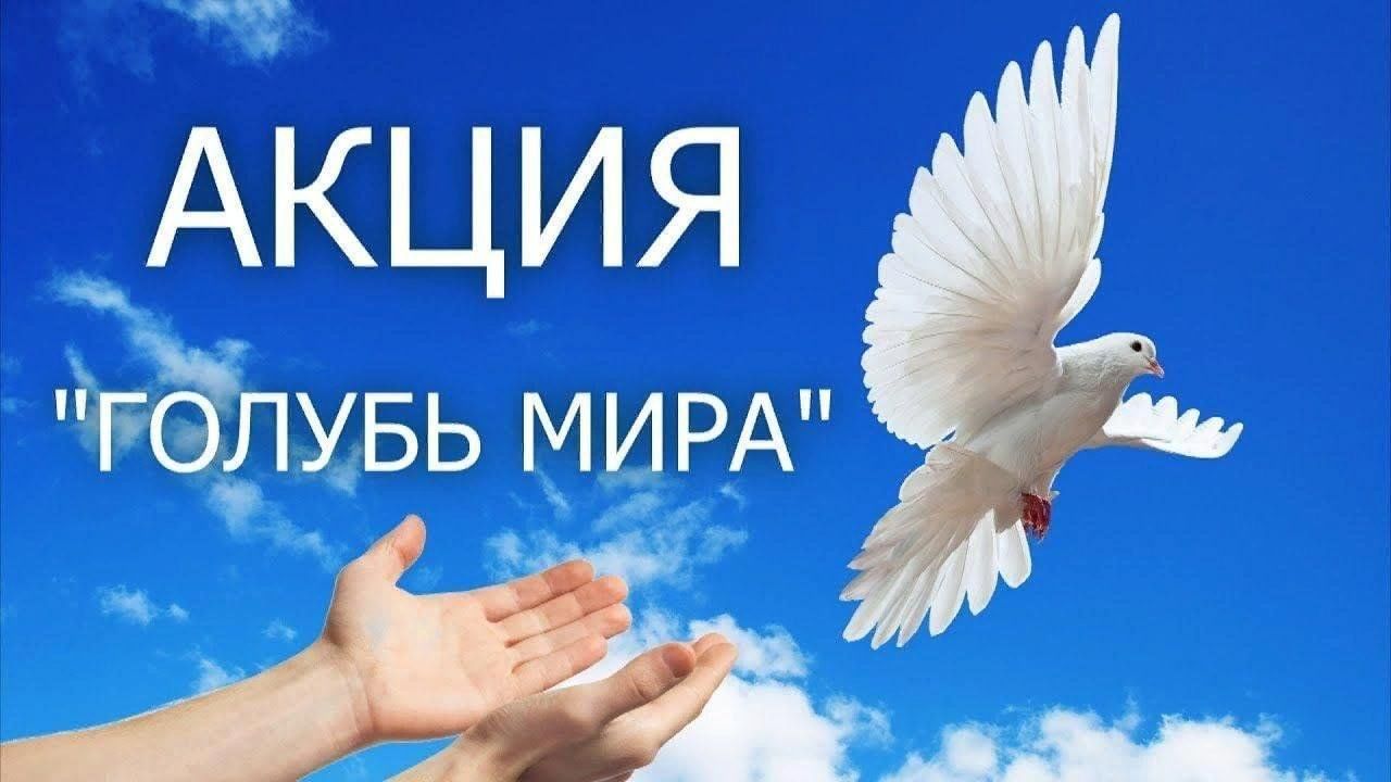 Голубь мира фото акция