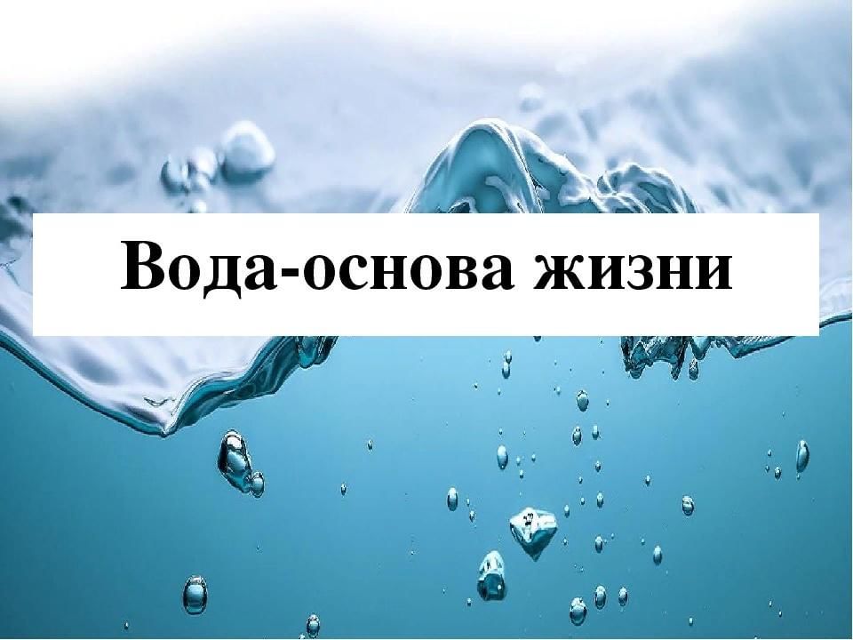 Презентация вода основа жизни