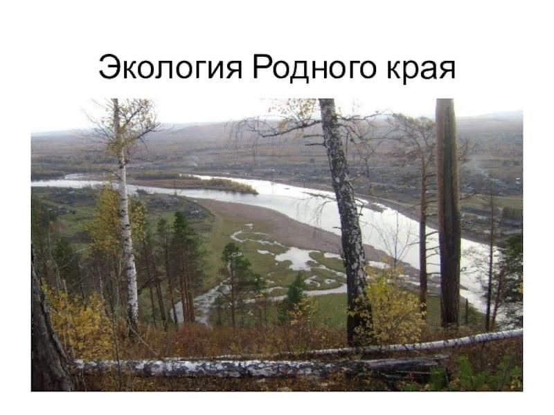 Проект экологическая проблема родного края