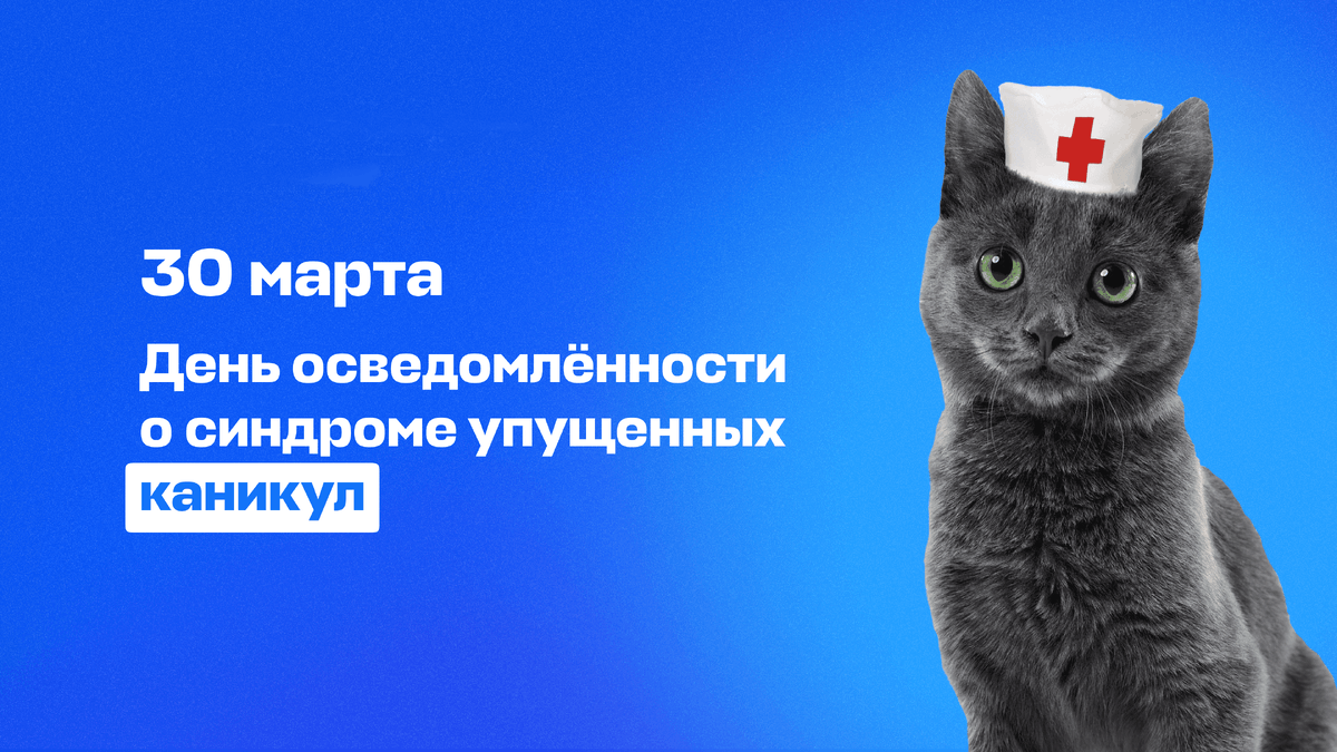 День осведомлённости о синдроме упущенных каникул 2024, Кушнаренковский  район — дата и место проведения, программа мероприятия.