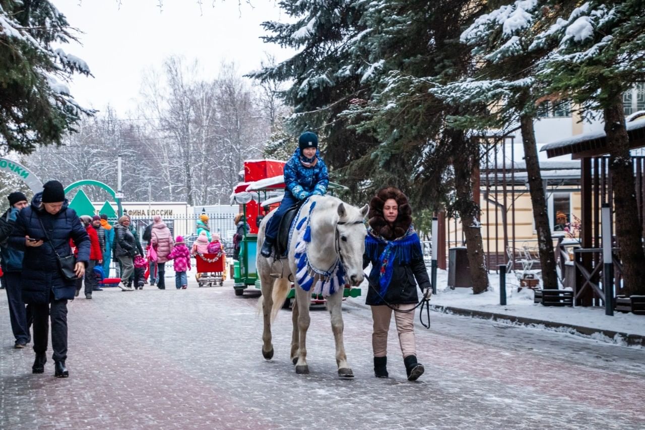 каток парк елочки