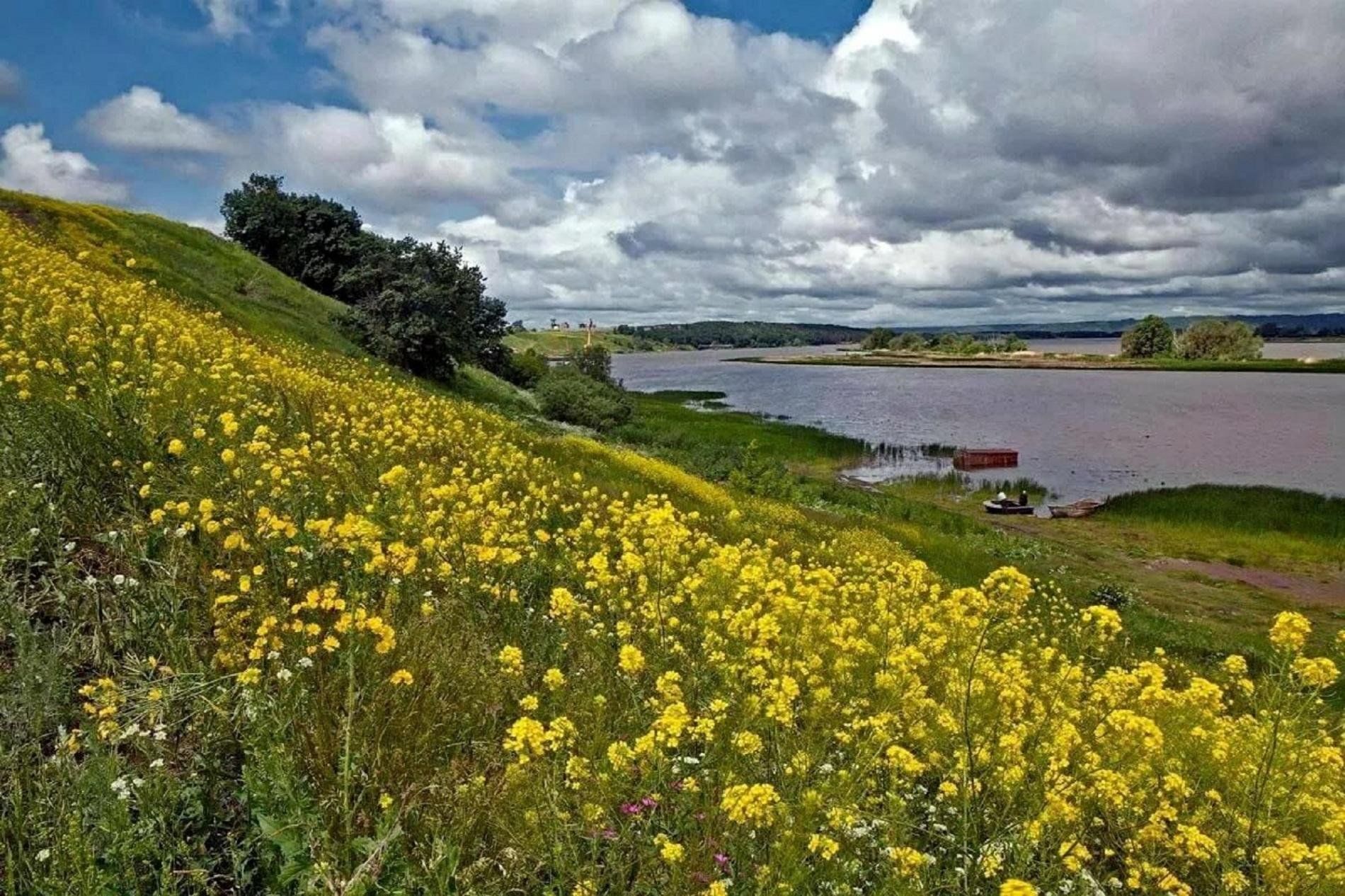 Село цвета. 