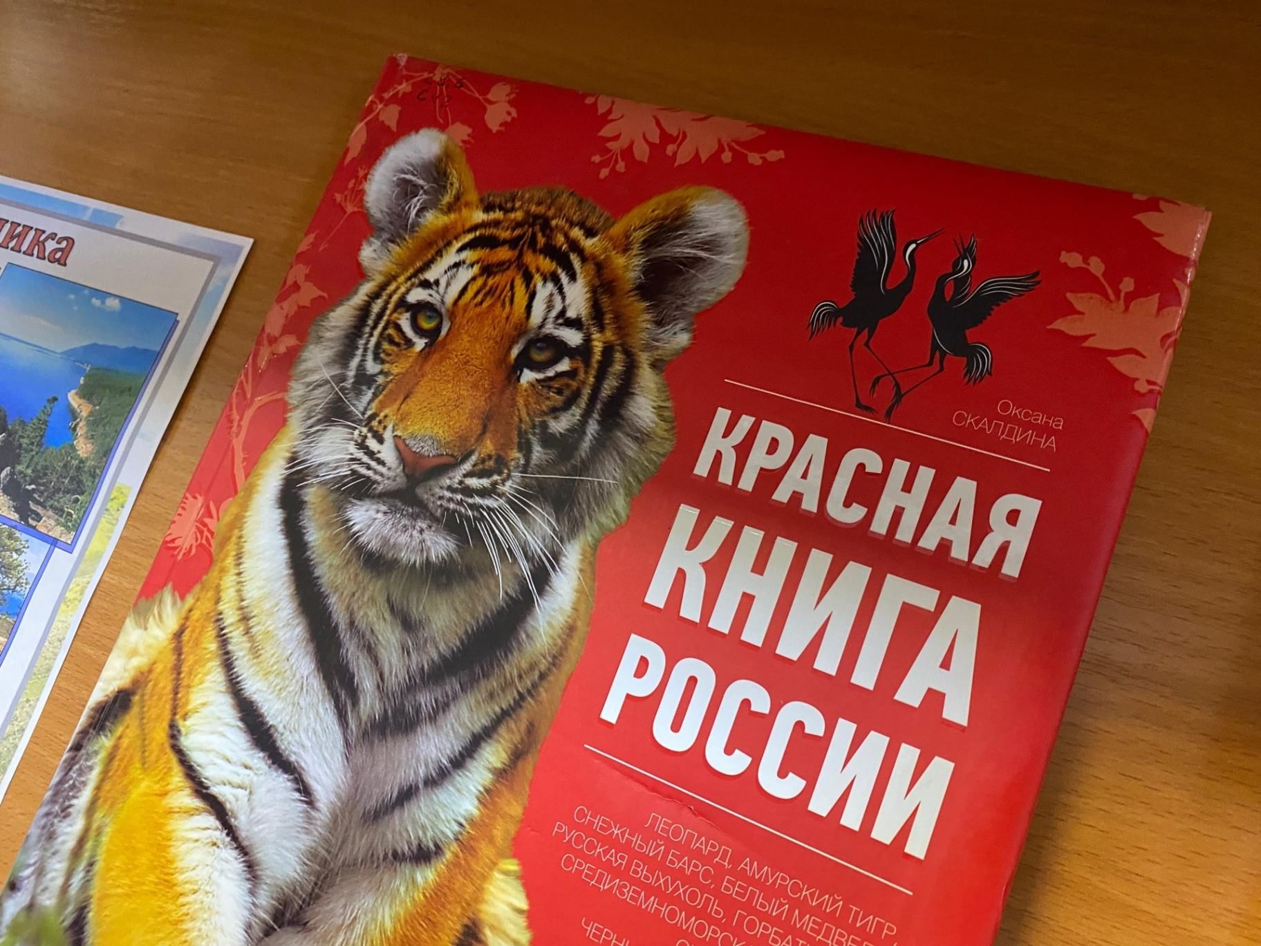 Всероссийский день заповедников и национальных парков дата и рисунок