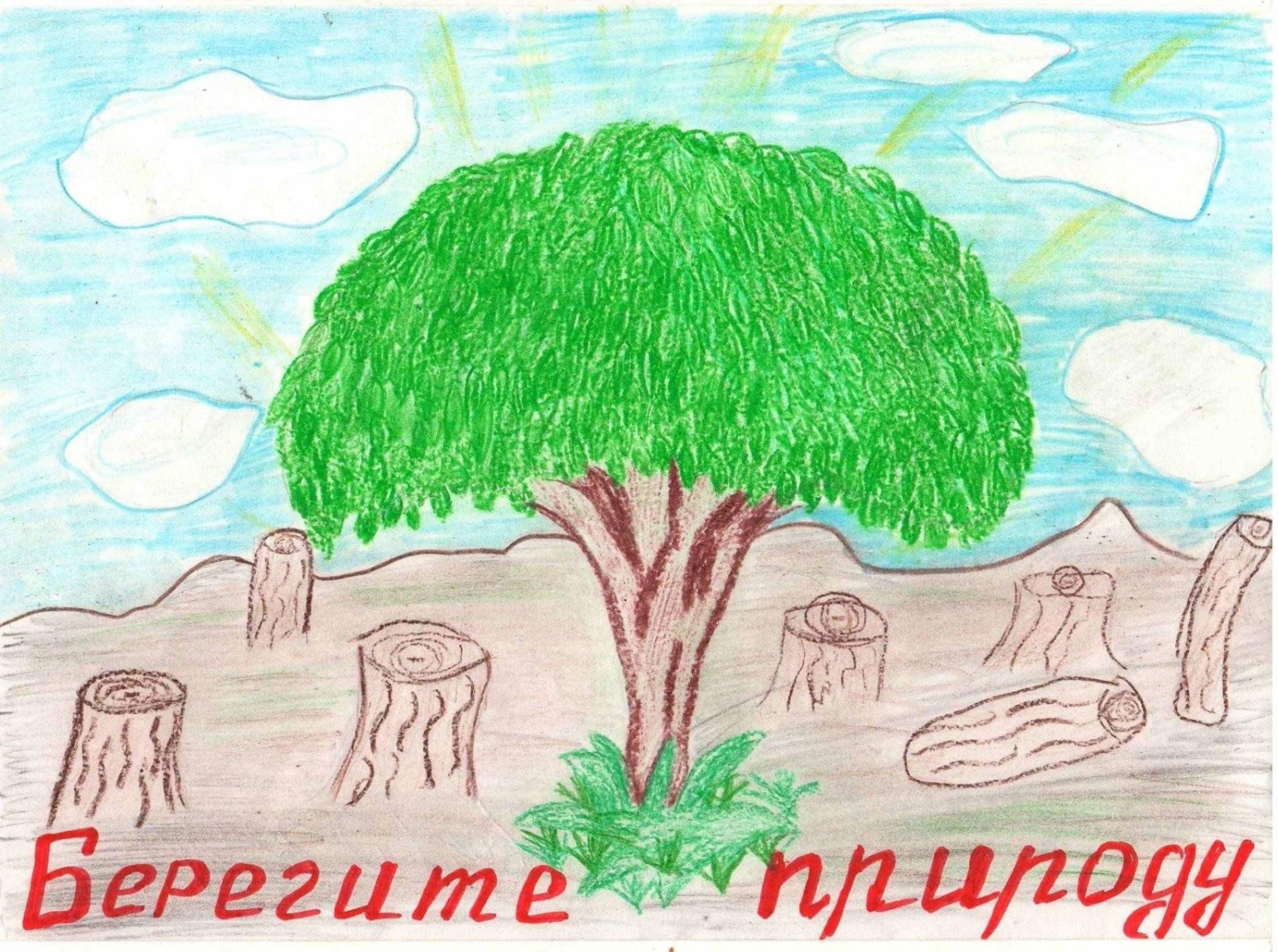 «Берегите природу!» познавательная программа 2024, Мишкинский район — дата  и место проведения, программа мероприятия.