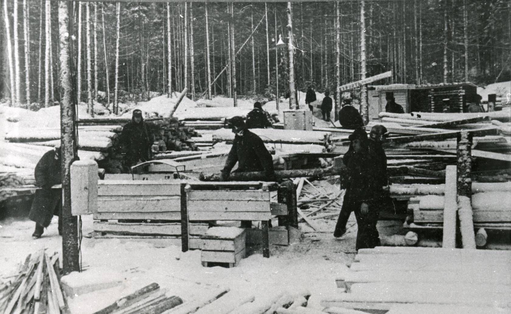 Возраст нары. ГУЛАГ лагерь Лесоповал. Беломоро-Балтийский исправительно-трудовой лагерь (Белбалтлаг). Исправительно трудовые лагеря в СССР. Исправительно-трудовые лагеря ИТЛ.