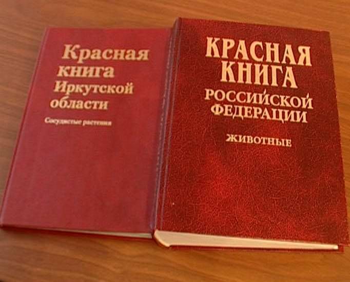 Красная книга фото страниц