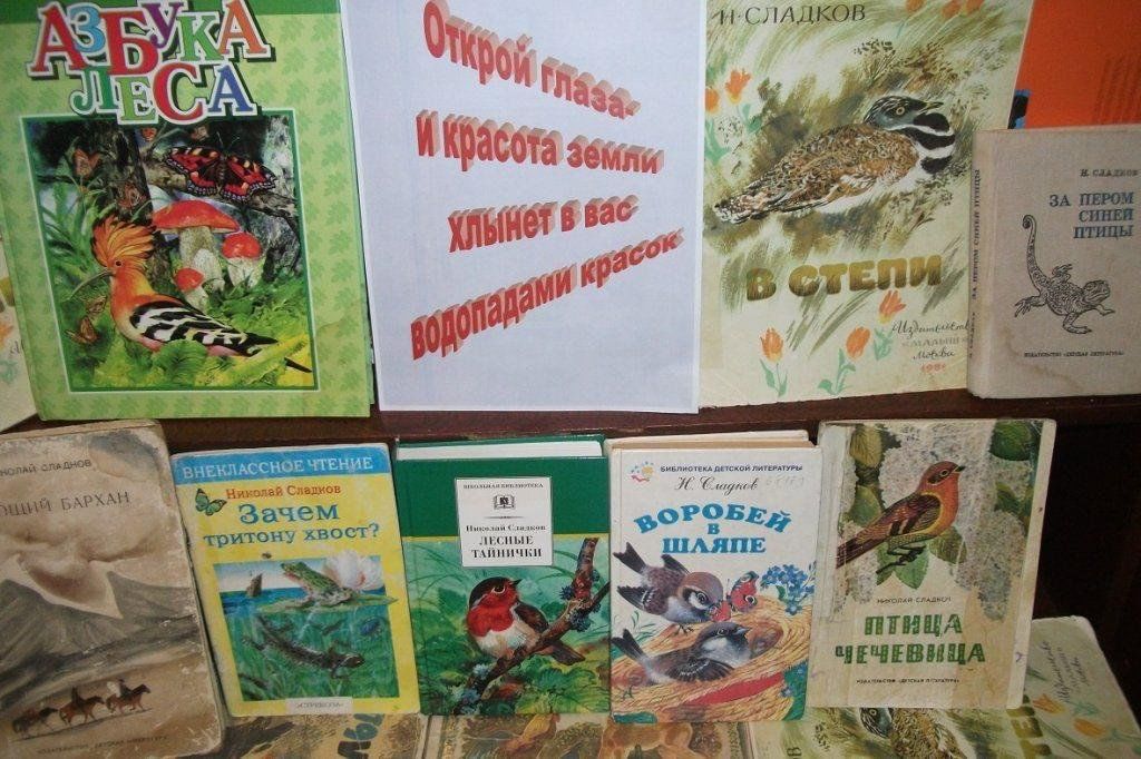 Сладков разноцветная земля. Сладков Планета чудес. Планета чудес Сладков читать. Планета чудес Сладков читательский дневник.