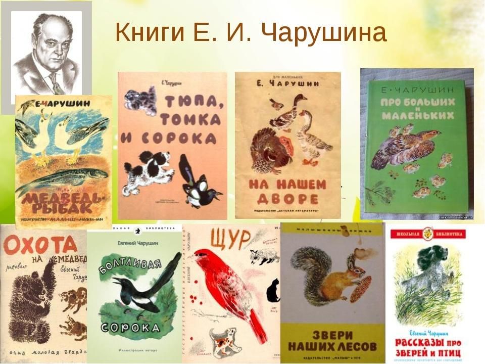 Проект книга о животных