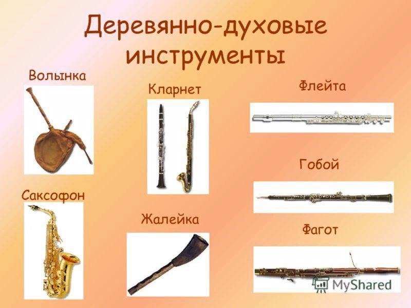 Духовые инструменты список с картинками