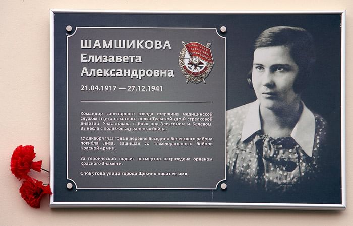 Мдш ул лизы шамшиковой фото