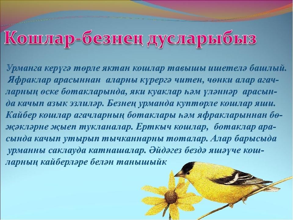 Кошлар турында презентация