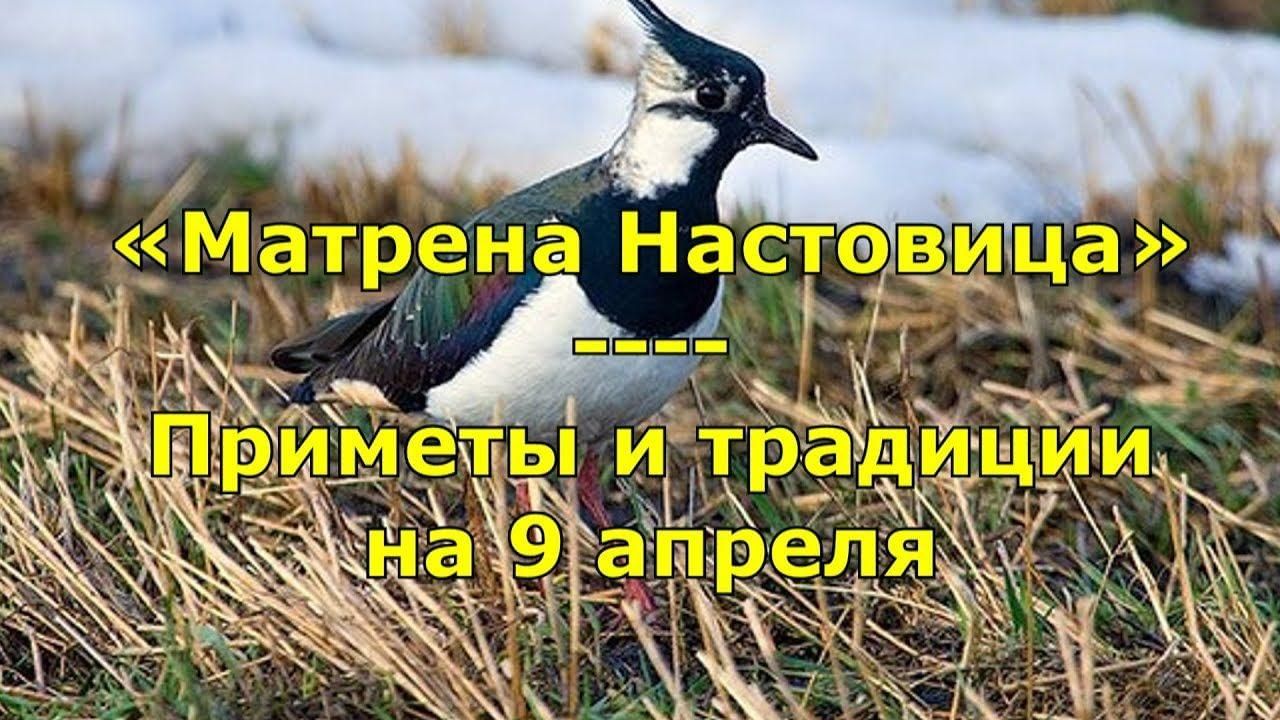 9 апреля приметы