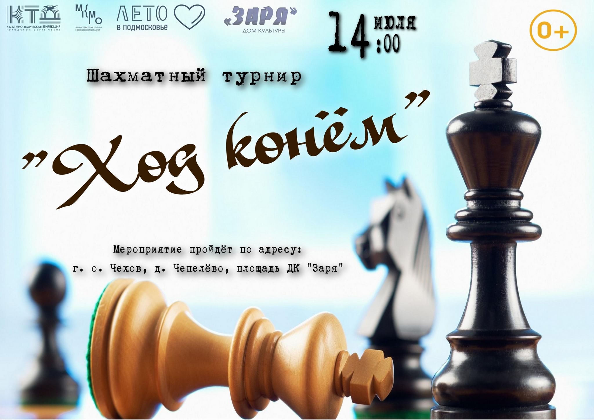 День шахмат мастер класс