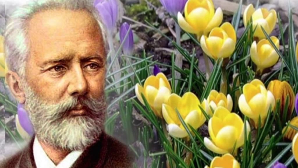Презентация чайковский вальс цветов