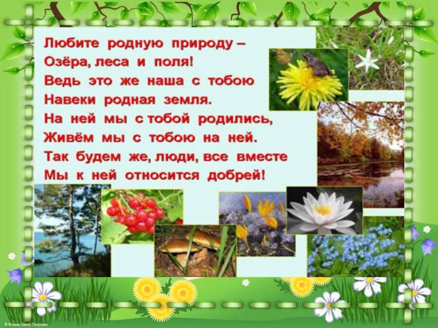 Презентация родная природа