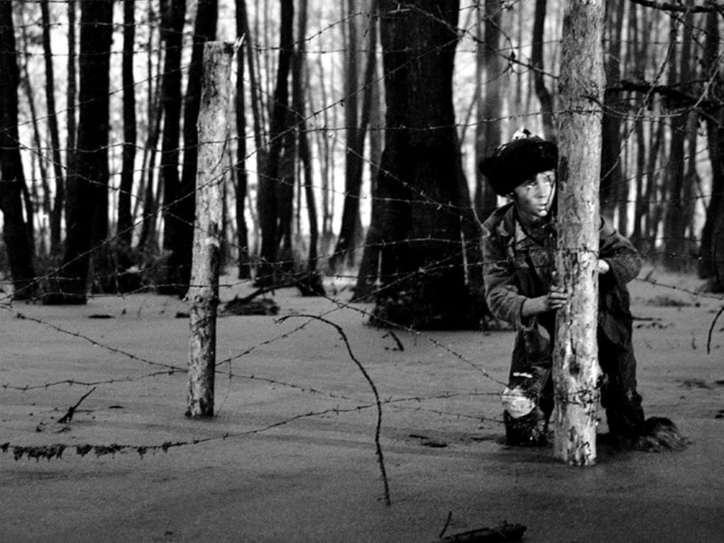 Кадр из художественного фильма Андрея Тарковского «Иваново детство» (1962)