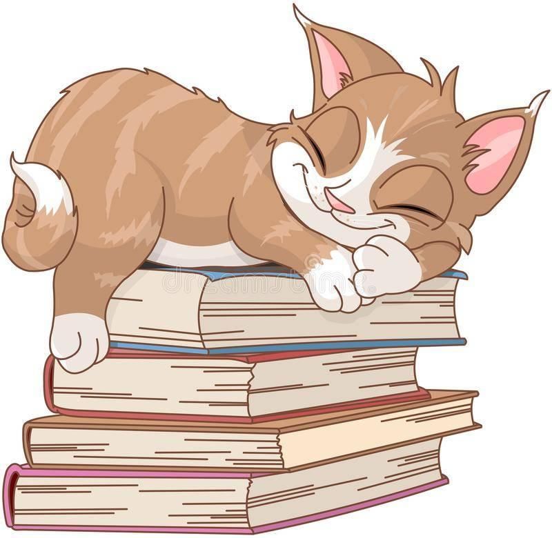 Рисунок кота с книгой