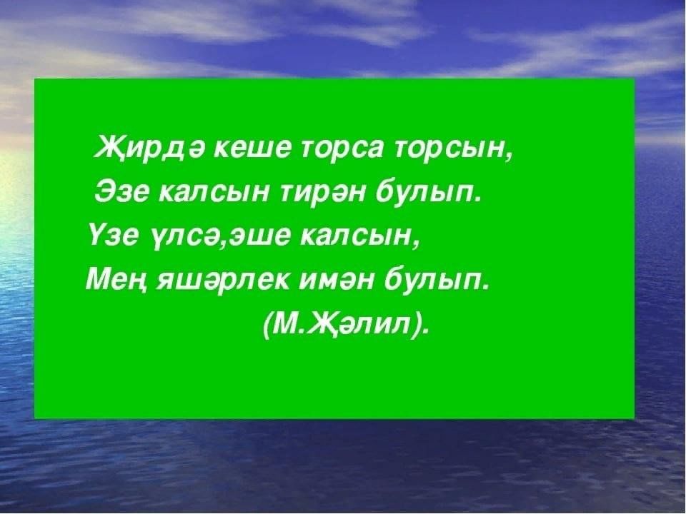 Бул мэктэп. Шигырь на татарском. Турында. Туган тел. Шигырь авторы.