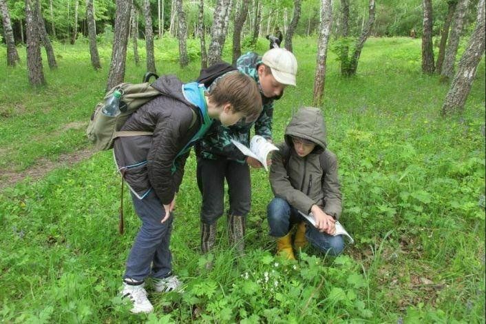 Городской батл исследователи природы. Экологическое образование и воспитание. Экологический кружок. Экологическое образование школьников. Дети экологи.