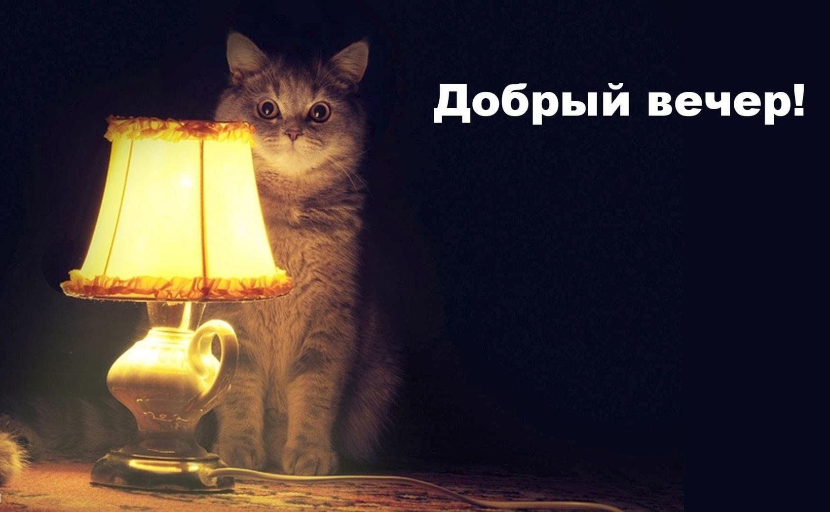 Добрый день добрый вечер мем