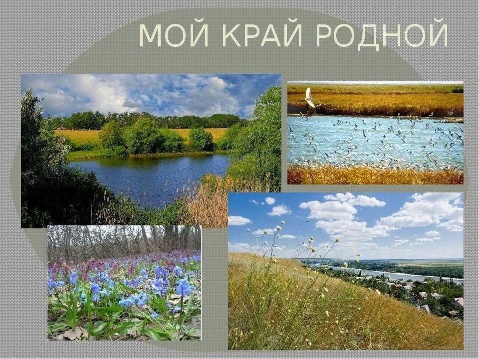 Фото края моего родного края