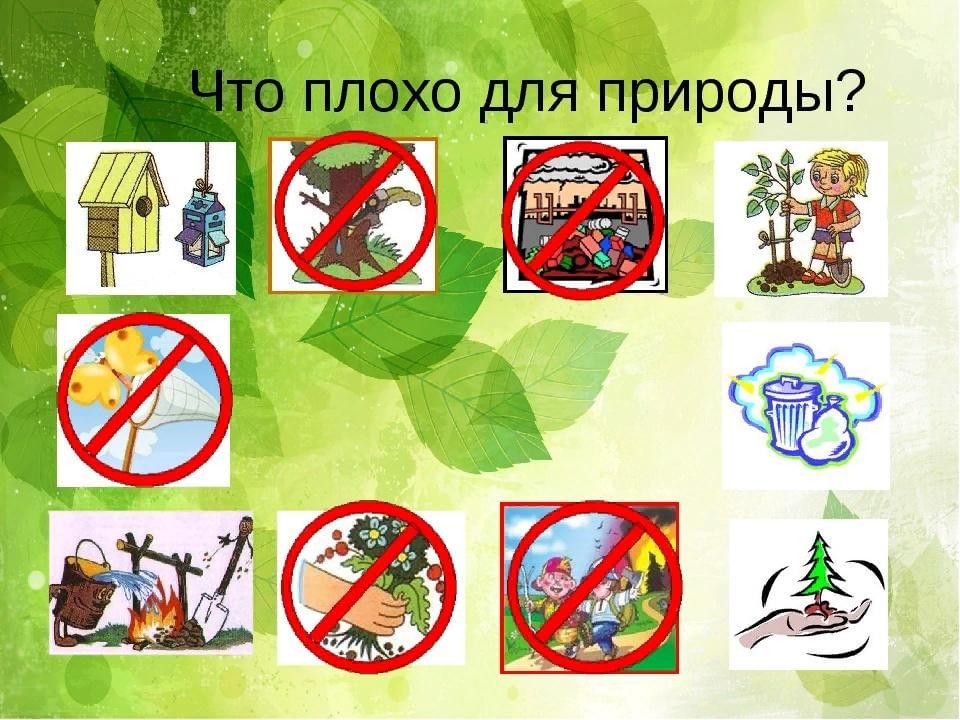 Что наносит вред природе картинки для дошкольников