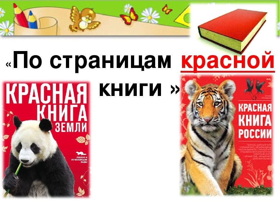 Проект для дошкольников по страницам красной книги