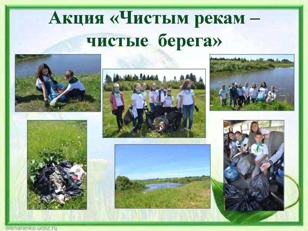 Чистые берега