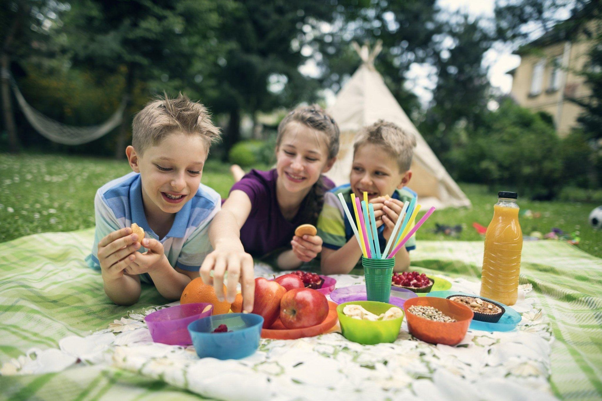 Picnic picture for kids