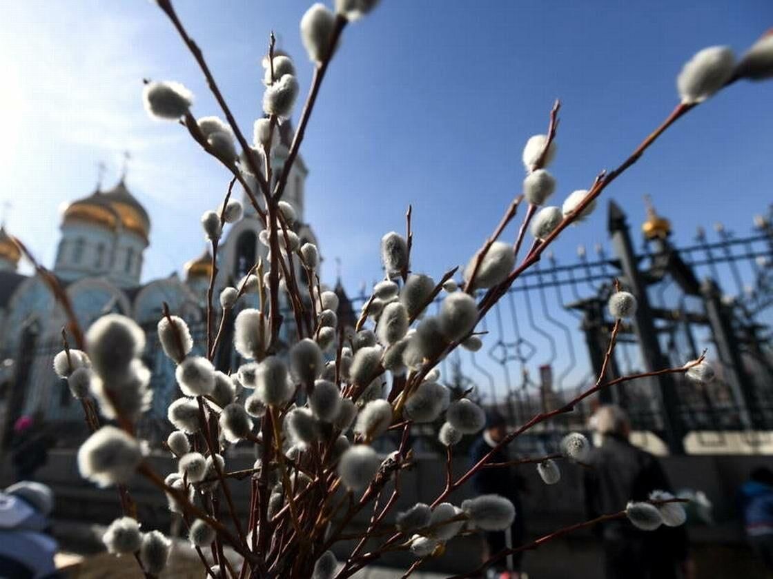 Вербное воскресенье фотографии