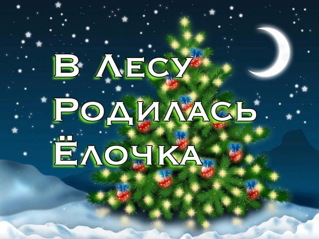 Елочка новогодняя песенки. В лесу родилась ёлочка. В лесу продиласьелочка. В лесу родилась ёлочка песня. Песенка в лесу родилась елочка.