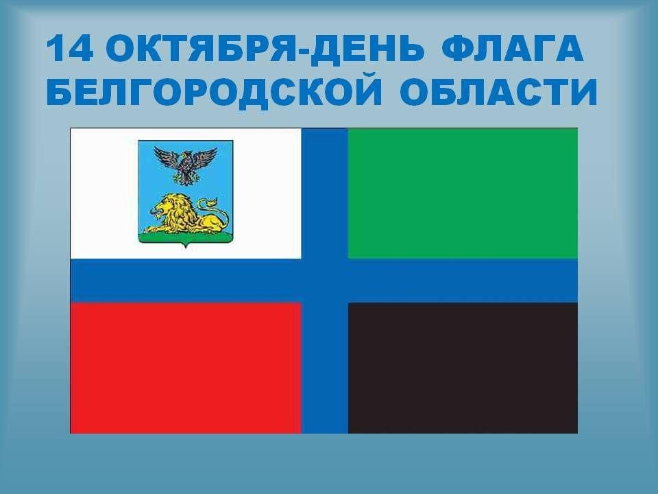 Как выглядит флаг белгородской области