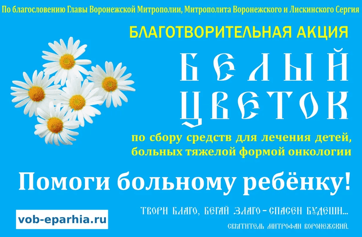 Белый цветок благотворительная акция картинки