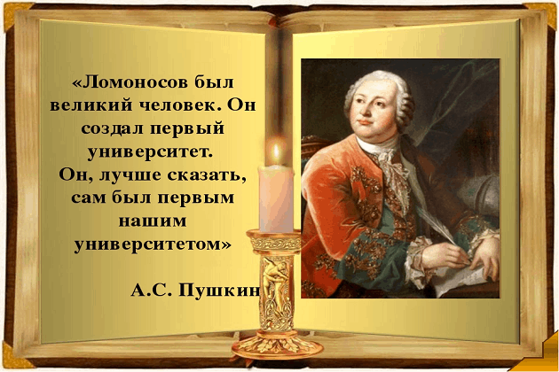 Лук ломоносова фото