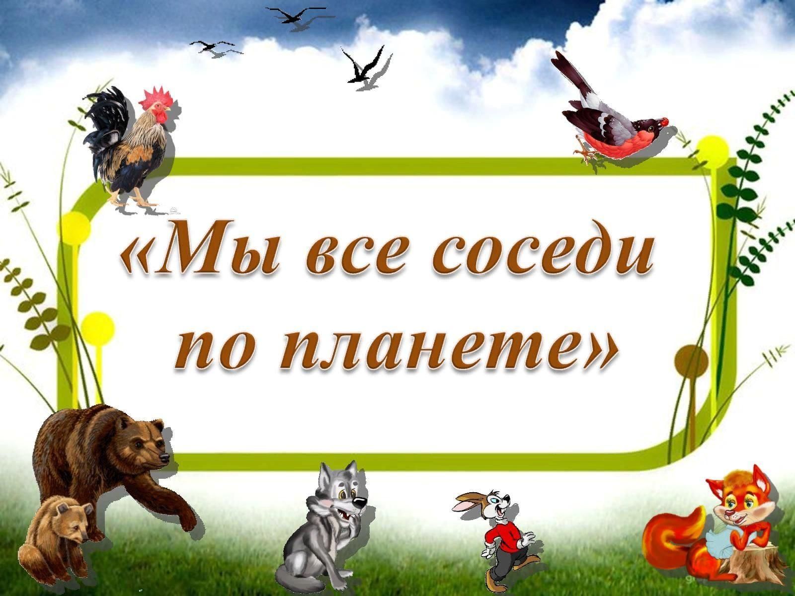 Проект мои соседи