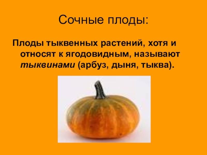 Плод тыквина примеры растений