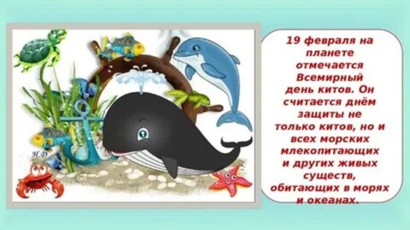 19 февраля день