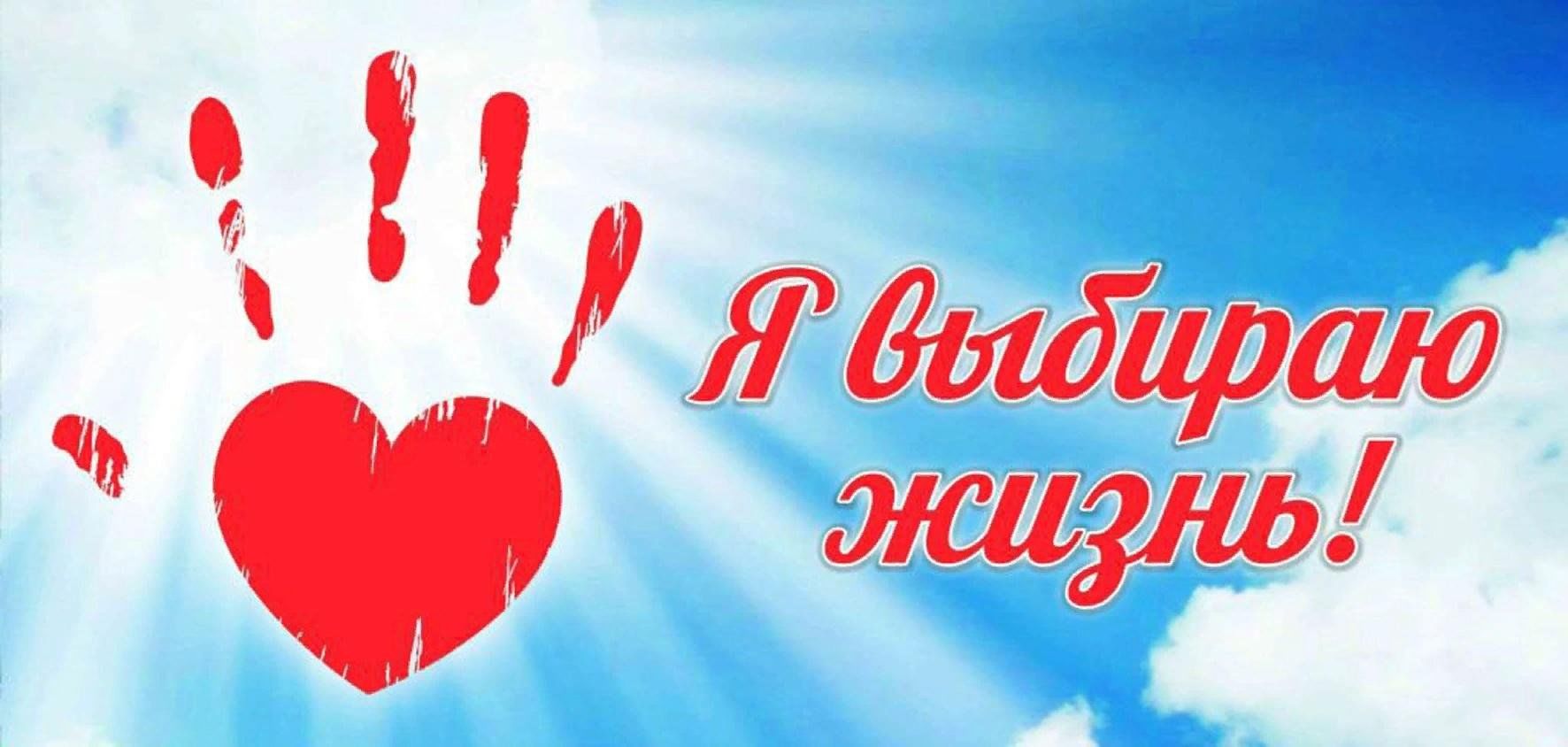 Проект я люблю жизнь