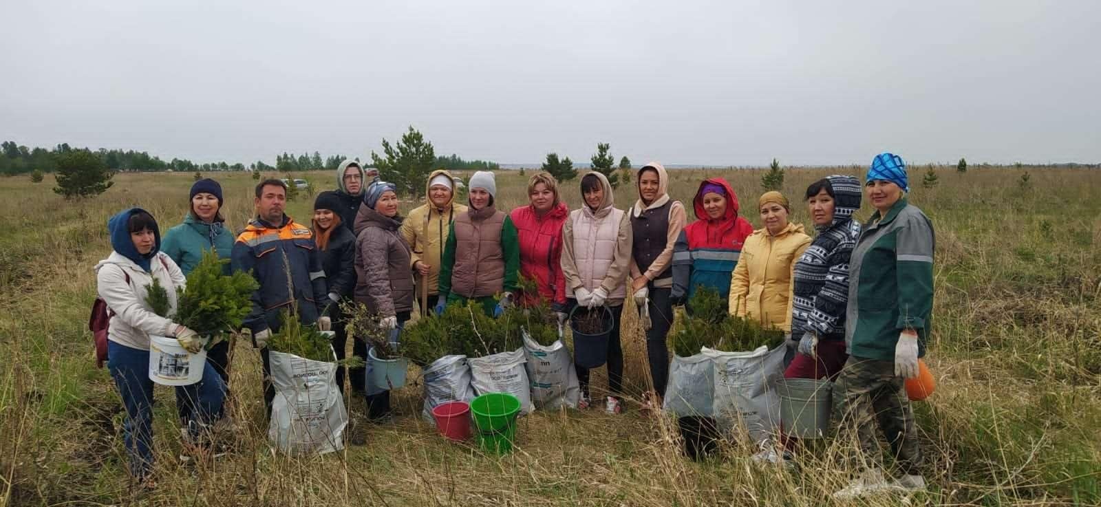 Сад памяти акция.