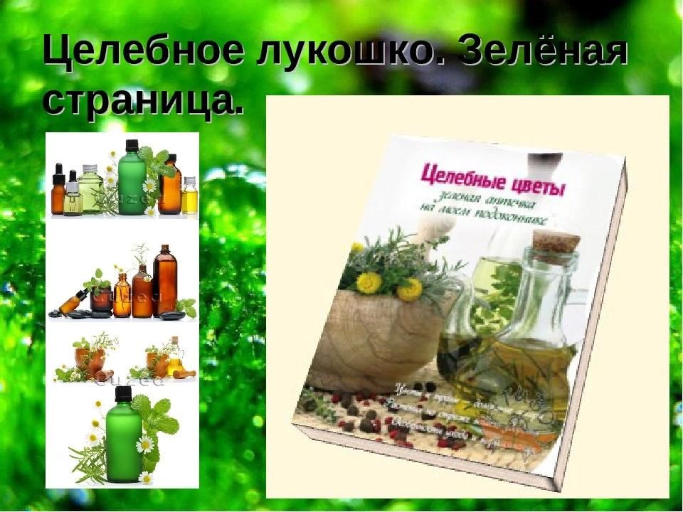 Целебное лукошко картинки