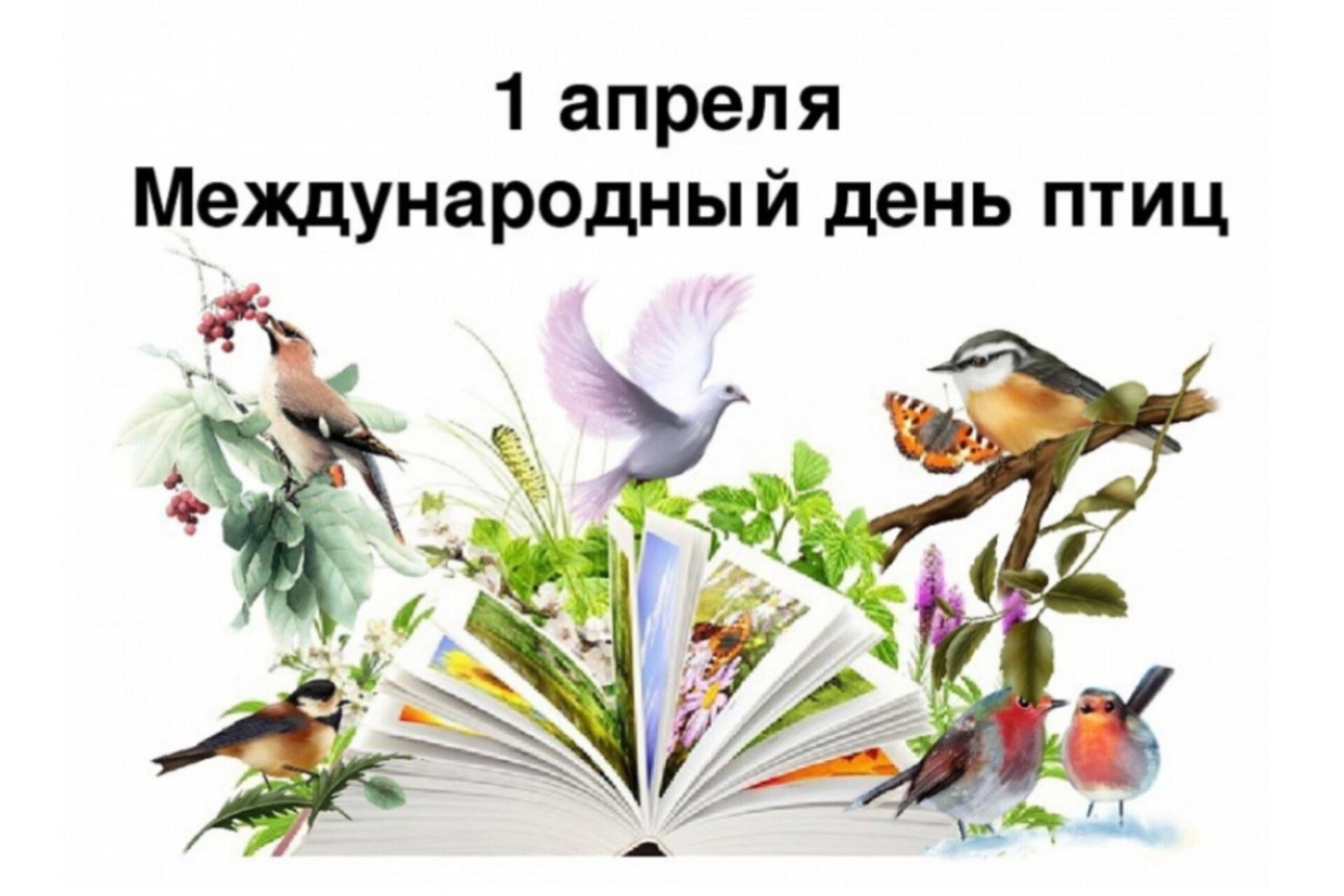 Международный день птиц открытки. День птиц. 1 Апреля Всемирный день птиц. Экологический праздник день птиц. 1 Апреля день птиц 2022.