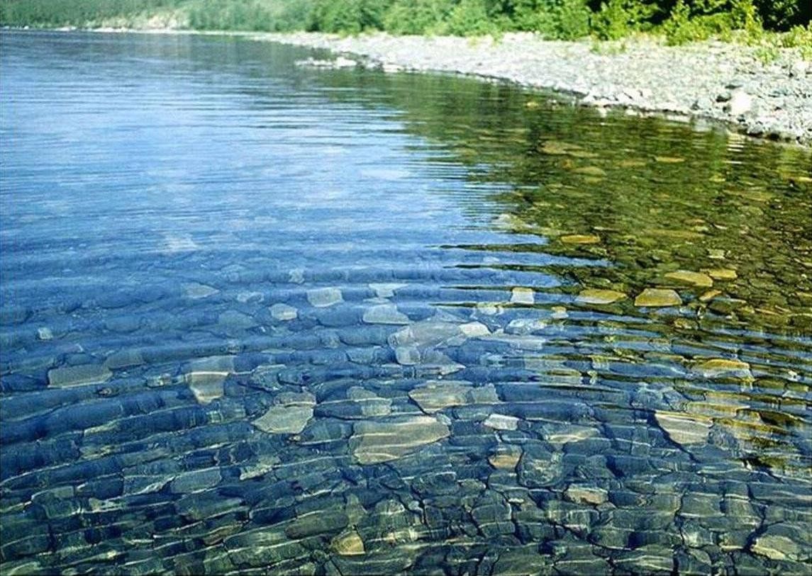 Пресноводные водоемы. Чистая река. Пресная вода. Вода в водоеме. Вода сейчас в водоеме