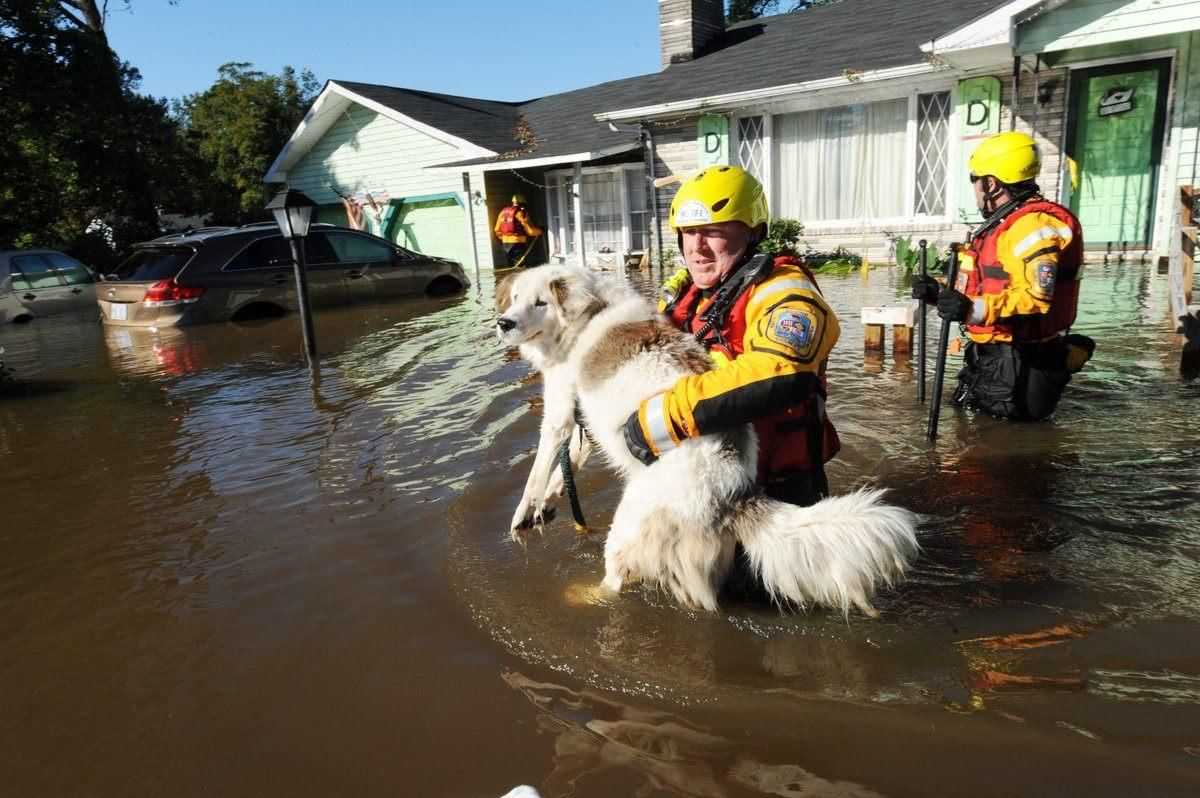 Спасение людей при чрезвычайных ситуациях. Наводнение спасатели. Спасатели при наводнении. Спасение людей при наводнении.