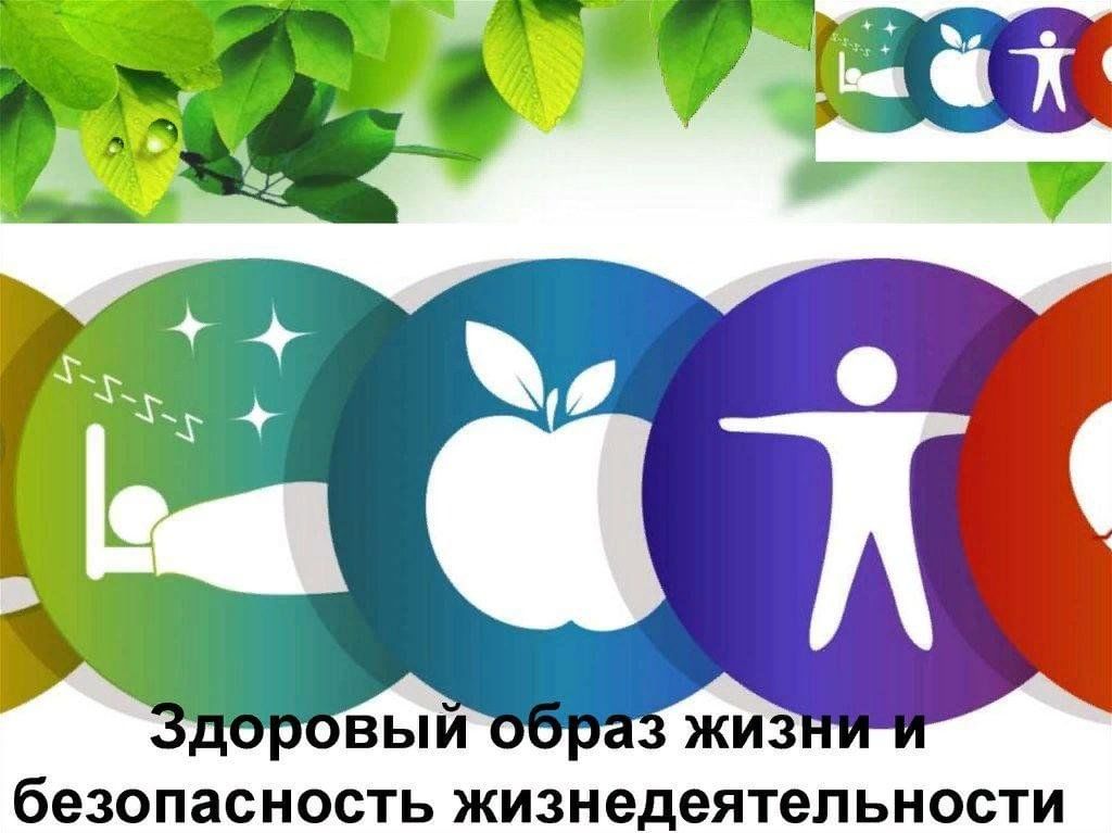 Проект по обж здоровый образ жизни