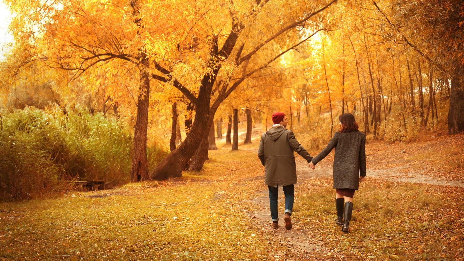 Пара гуляет в парке осенью