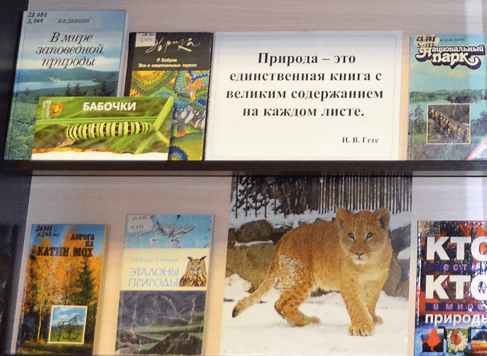 Книжная выставка про заповедники